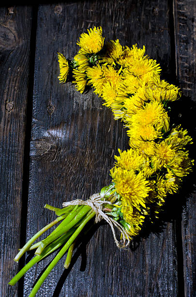 istock Dandelions on the wooden background 481019453