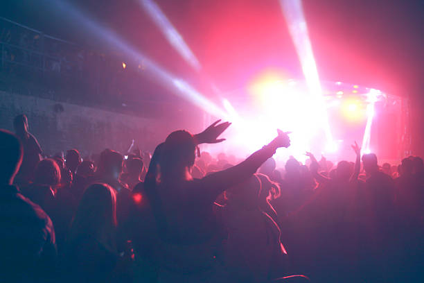 istock Music festival concert crowd 481019718