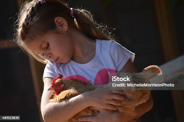Young Girl Holding A Chicken Stock Photo - Download Image Now - Child, Chicken - Bird, Holding