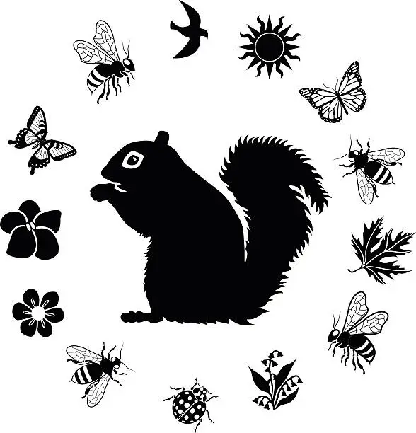 Vector illustration of squirrel surrounded by nature border in black and white