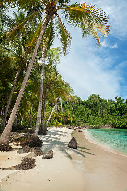 istock Potil Island, Indonesia 481024347