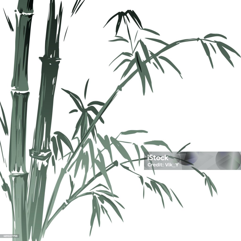 Watercolor Bamboo branches isolated on the white background. Vector illustration Watercolor Bamboo branches isolated on the white background. Vector illustration EPS 10 Bamboo - Plant stock vector