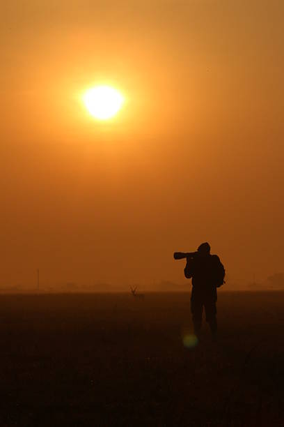 istock Wildlife Photographer 481028388