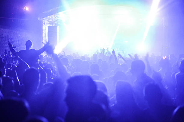 istock Music festival concert crowd 481028394