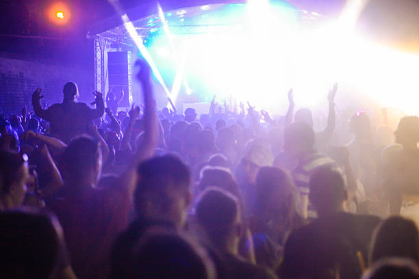 istock Music festival concert crowd 481028396