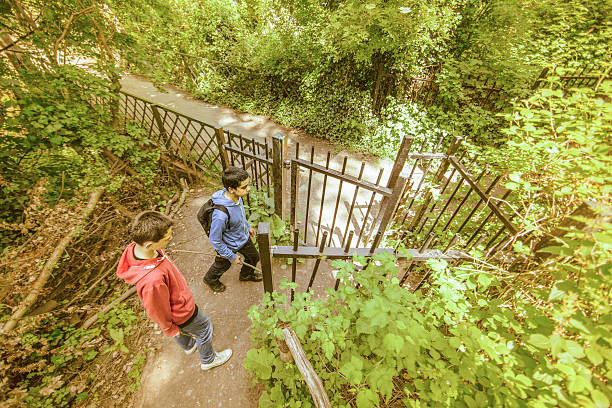 istock boys passing through woodland 481028874