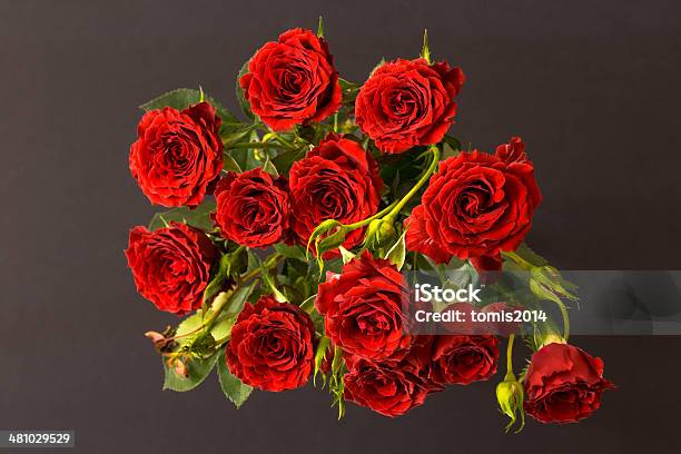 Bouquet Of Red Roses Stock Photo - Download Image Now - Anniversary, Beautiful People, Beauty