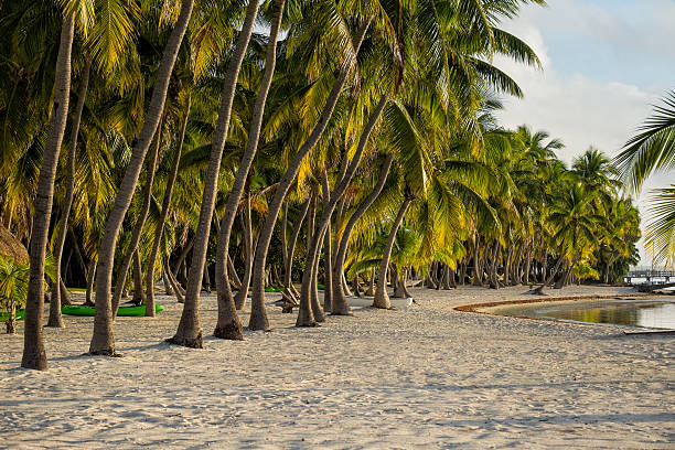istock Tropical Beach Scenic Landscape 481029615