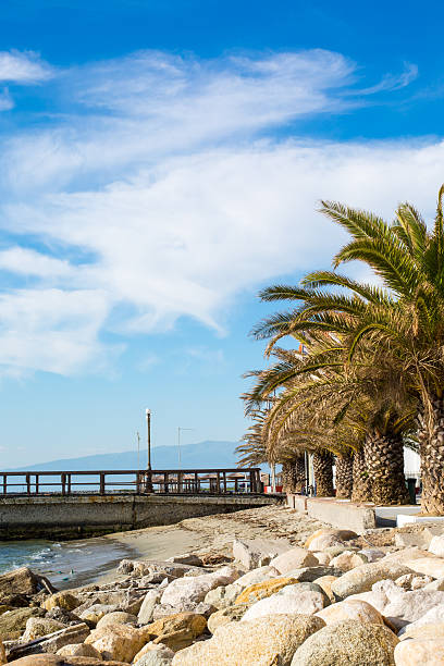 The Beach with palms in Paralia Katerini, Greece The Beach  in Paralia Katerini, wooden pier, palm trees, sand and stones, Greece paralia stock pictures, royalty-free photos & images