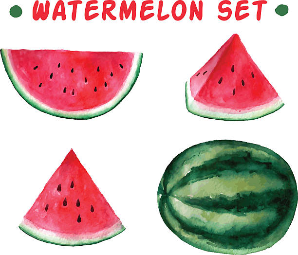 ilustraciones, imágenes clip art, dibujos animados e iconos de stock de acuarela dibujadas a mano vector conjunto de sandía. - watermelon