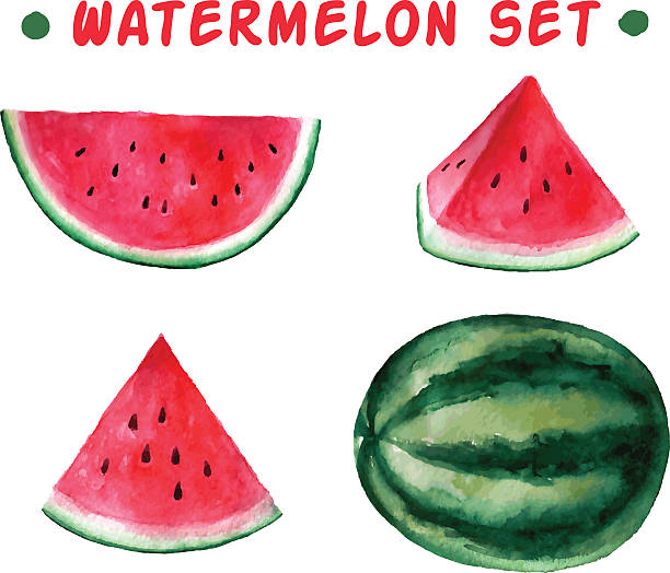 ウォーターメロンカラーの水彩手描きベクトル設定されます。 - watermelon点のイラスト素材／クリップアート素材／マンガ素材／アイコン素材