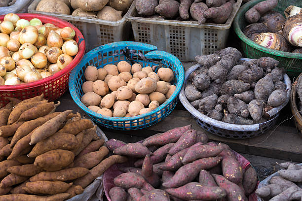 istock Background of sweet potato, potato, ginger, onion 481035530