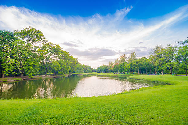 istock Fresh public Park. Lake in the summer. 481035770