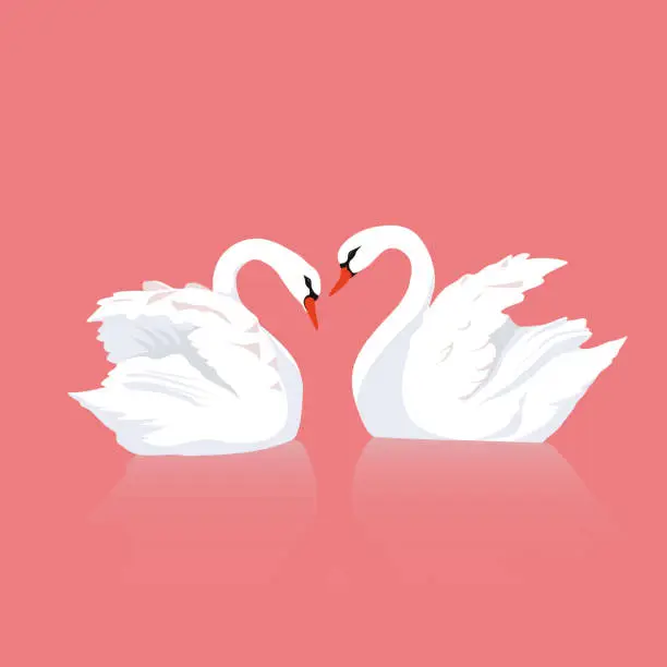 Vector illustration of Love of two swans