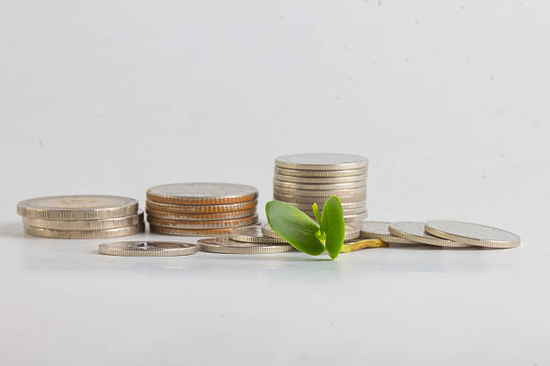istock plant growing out of silver coins isolated on white 481039794