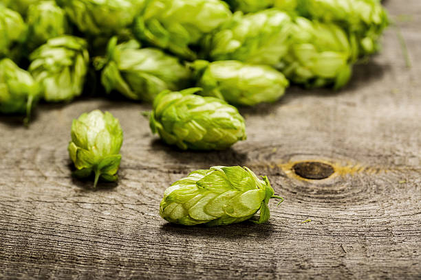 Fresh green hops on a wooden table stock photo