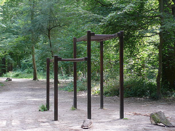 istock fitness trail in forest 481041176