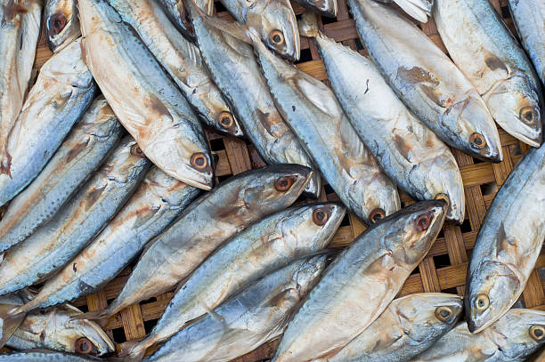istock Fresh raw mackerel fish on bamboo Threshing basket 481045217