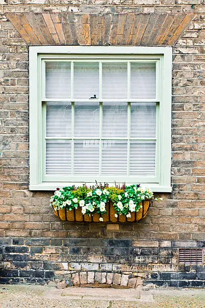 Flowers in a basket haging below a window