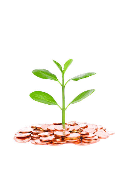 istock investment plan:coin and growing plant isolated on white background 481047275