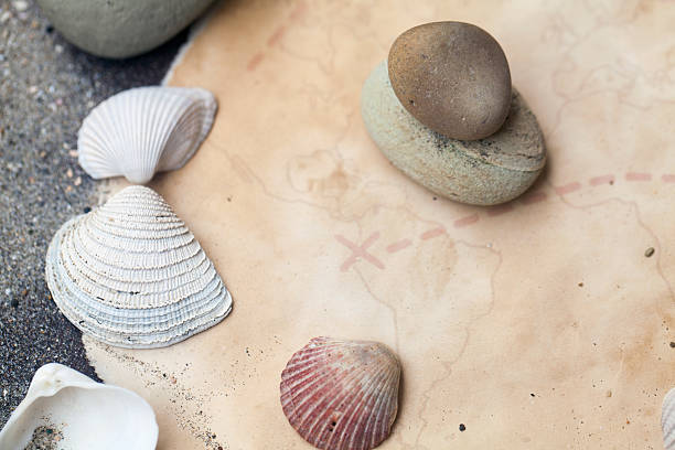 istock Sea shells frame on vintage shabby wood and old paper 481051652