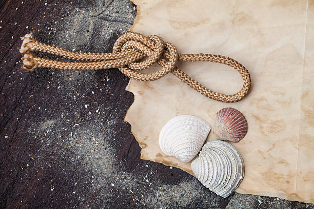istock Sea shells frame on vintage shabby wood and old paper 481052476