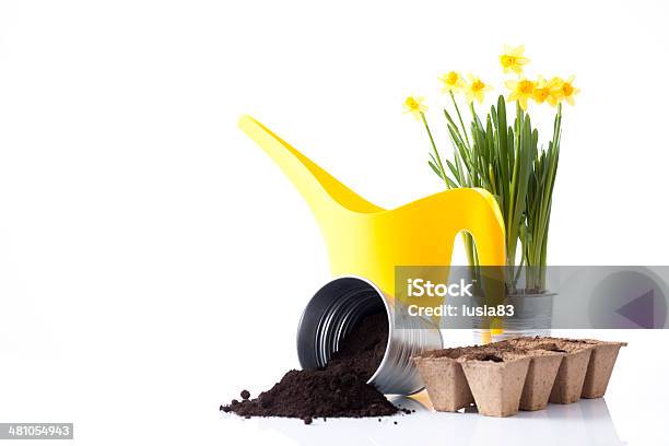 Daffodil Flowers And Garden Equipment Stock Photo - Download Image Now - Agriculture, Cut Out, Daffodil