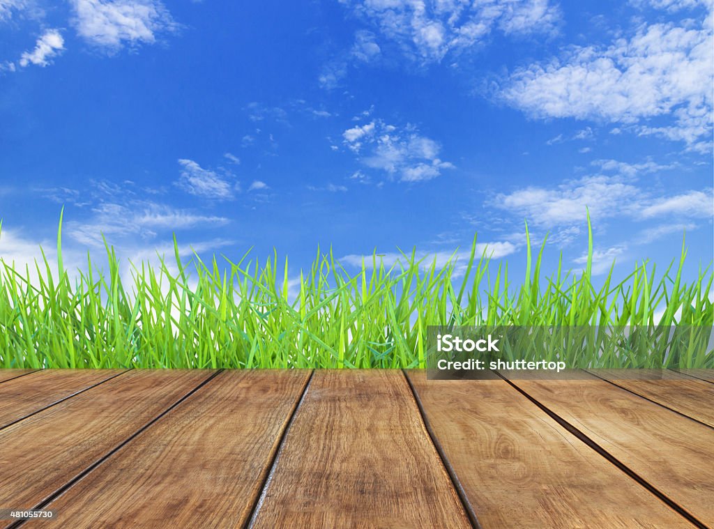 bright spring with green grass and sky background with wooden floor 2015 Stock Photo