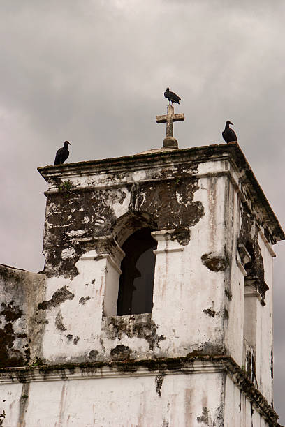 Vultures On Church Tower