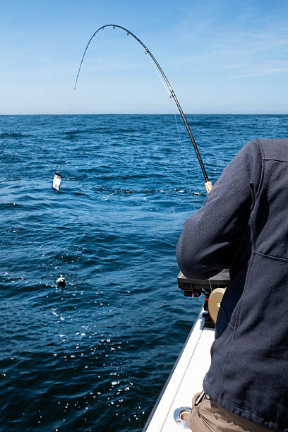 istock Deep Sea Fishing 481056098