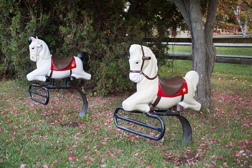 Old style horse ride with white color horses on playground at the park in Autumn background