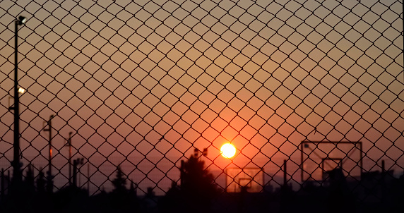 Barbed wire Sunset basket