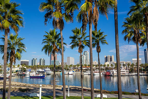 istock Long Beach Marina and city skyline, Long Beach, CA 481062146