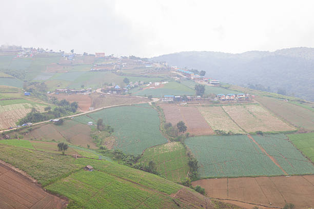 istock Agricultural lands in the mountains 481064056