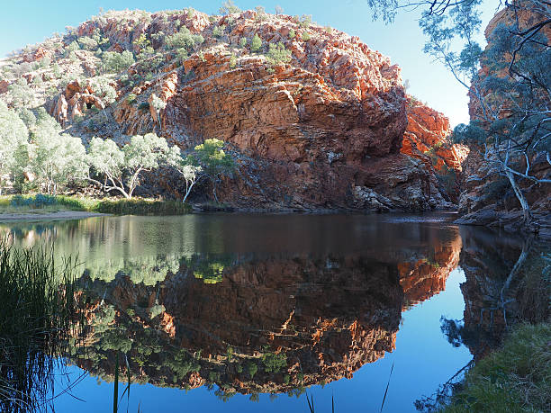 reflexion im teich von ellery creek big hole - ellery creek stock-fotos und bilder