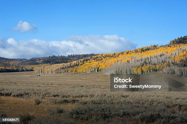 Dixie National Forest Stock Photo - Download Image Now - Agriculture, Aspen Tree, Autumn