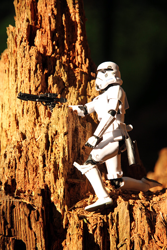 Vancouver, Canada - May 25, 2015: A stormtrooper from the Star Wars film franchise in the deep forest of Pacific Spirit Park, near the edge of Vancouver. The toy is part of the Black Series, from Hasbro.