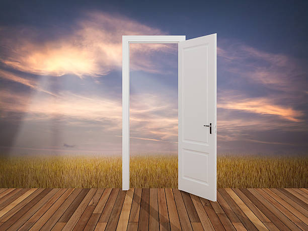 istock Landscape behind the opening door 481073554