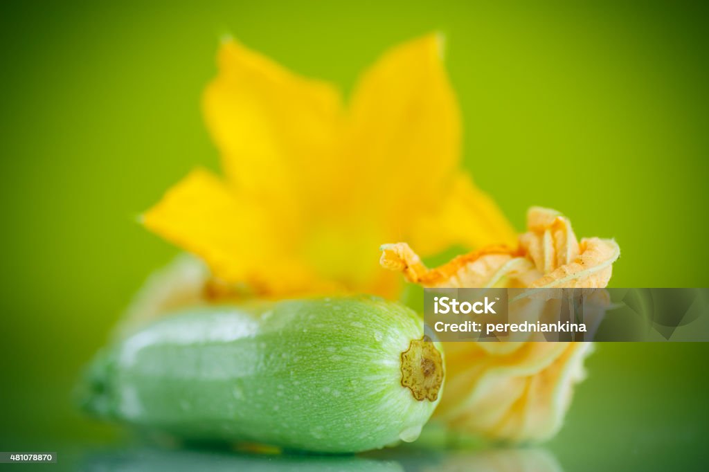 zucchini Fresh raw zucchini on a green background 2015 Stock Photo