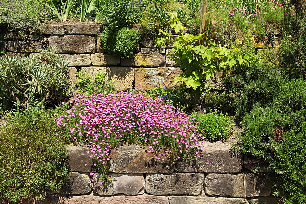 istock Garden with stone and plants 481079447