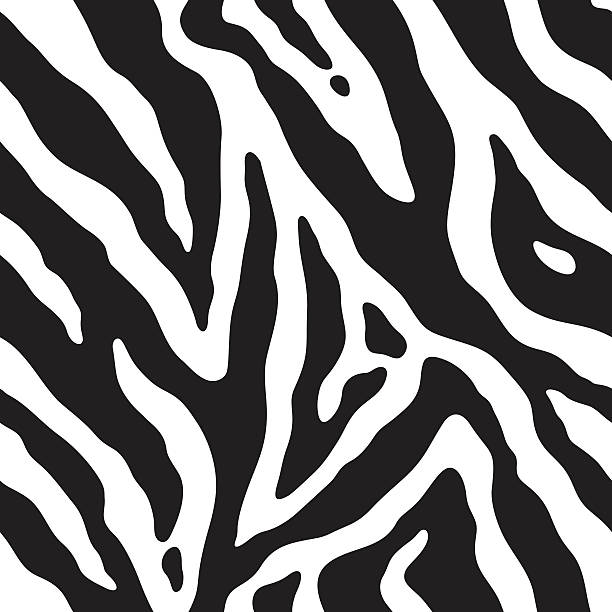 ilustrações de stock, clip art, desenhos animados e ícones de zebra padrão repetido - zebra