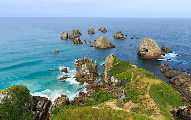 istock Nugget Point New Zealand 481080978
