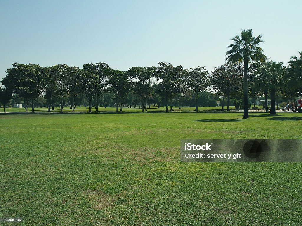 Palm Tree Park Abstract Stock Photo