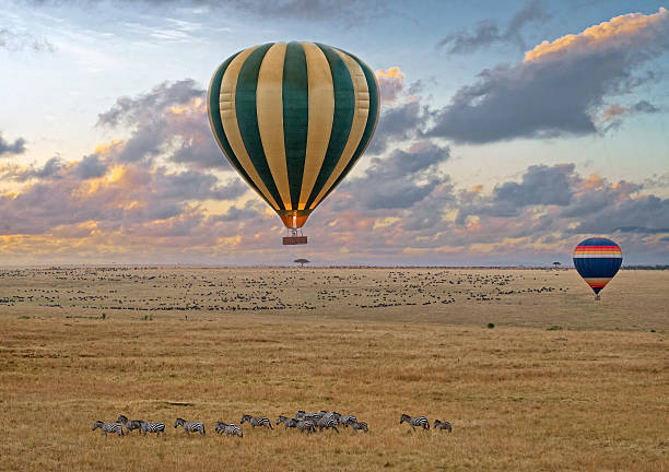 Balloon safari Hot air balloon safari flight at the time of Great Migration in the magnificent setting of the Great Rift Valley in Kenya masai mara national reserve stock pictures, royalty-free photos & images