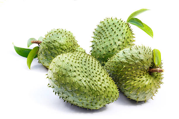 Tropical fruits - group of ripe soursop or guanabana Tropical fruits - ripe soursop or guanabana with leaves isolated on white background. annona muricata stock pictures, royalty-free photos & images