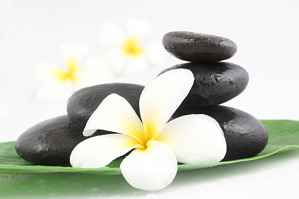 istock Zen stones with frangipani flower 481084512