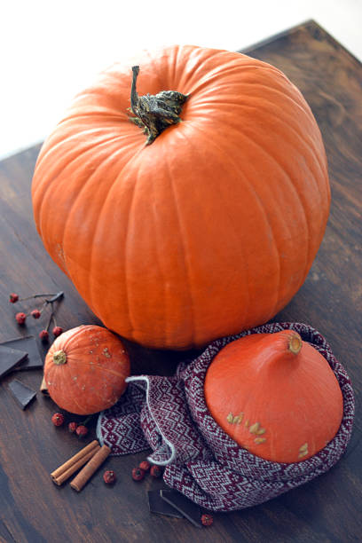istock Autumn still-life with pumpkin 481085210
