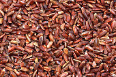 brown-rice.jpg?b=1&s=170x170&k=20&c=fUBmN4-Eus9tk2--xsfZPbSu5k4NHe3POWevoQdPdE0=