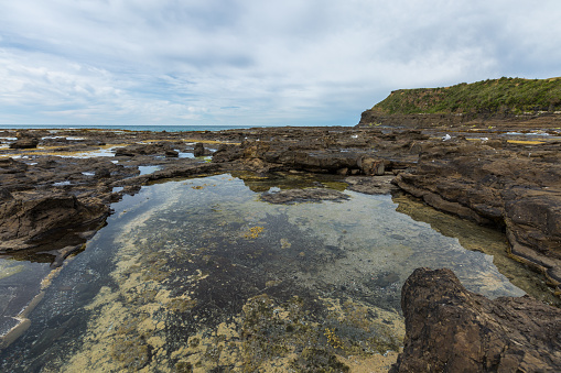Curio Bay, an ancient geological phenomenom of the petrified forest. the Catlins New Zealand