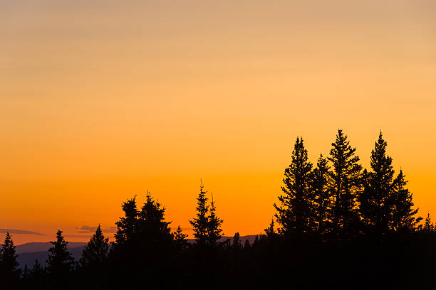 istock Colorful Mountains Sunset with Layers with Silhouetted Trees 481086261